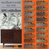 กระเบื้องยางลายไม้ แบบ SPC MC-SPC (คลิกล็อค) หหนา 4 มิล