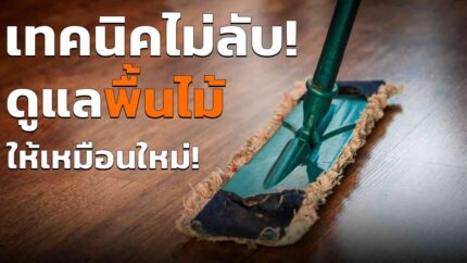 ดูแลพื้นไม้ อย่างไรให้สวยงาม เหมือนใหม่อยู่ตลอด อัพเดตปี 2023