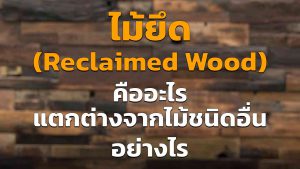 ไม้ยึด ( Reclaimed-wood ) คืออะไร ต่างจากไม้ชนิดอื่น ๆ อย่างไร