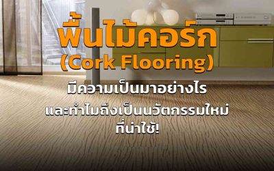 พื้นไม้คอร์ก ( Cork Flooring ) มีความเป็นมาอย่างไร ทำไมถึงเป็นนวัตกรรมใหม่ที่น่าใช้!